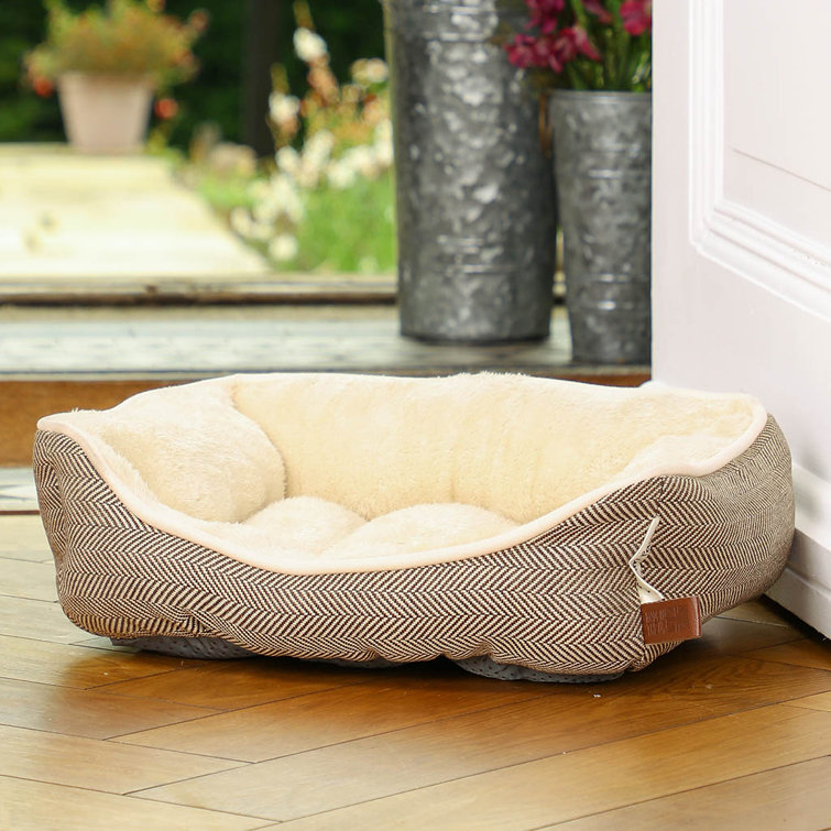 Oval dog outlet sofa